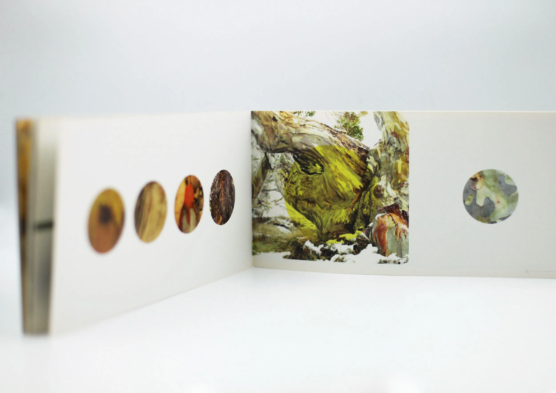 ALL — Cabinet of Wonder